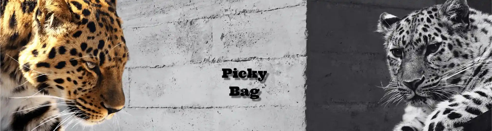 Sacs banane léopard de la boutique Picky Bag